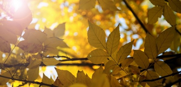 Bu gün hava necə olacaq?