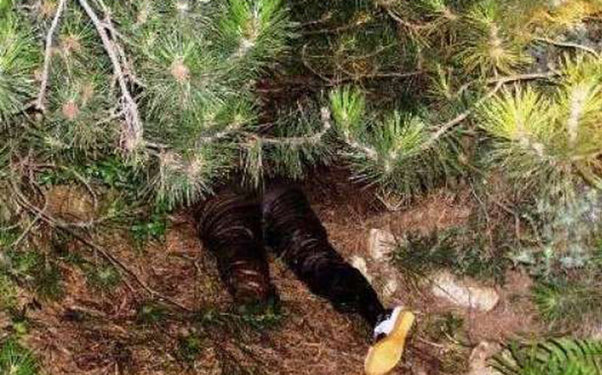 Toyuna 7 gün qalmış dağdan yıxılıb öldü