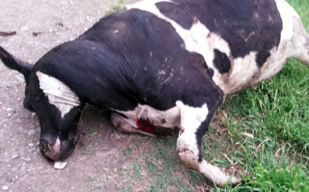 Bir gecədə Əfətli kəndinə 60-dək mərmi atılıb