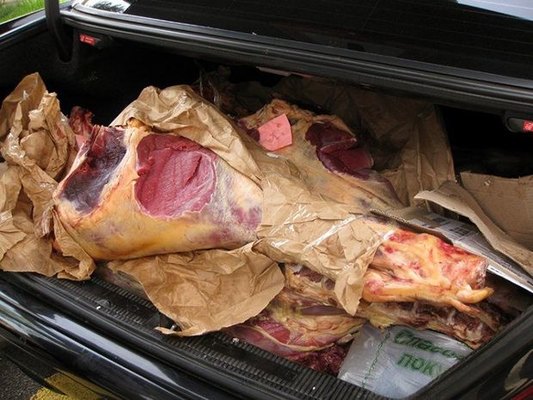 Bakıya 140 kq mənşəyi məlum olmayan heyvan cəmdəkləri gətirdilər