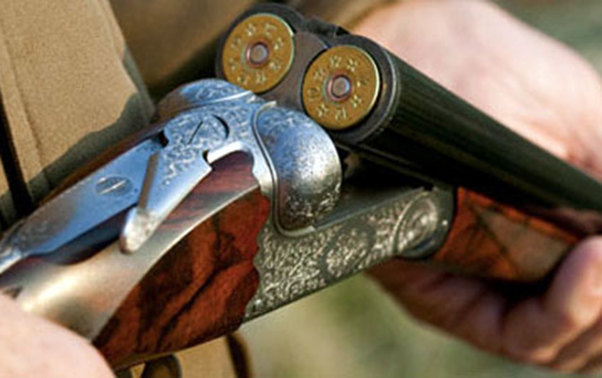 Şəmkir sakini odlu silahla intihar etdi