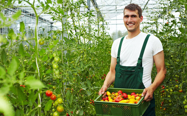 Nazirlikdən fermerlərə daha bir güzəşt
