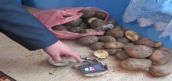 Məhkuma gətirilən kartofun içindən telefon çıxdı