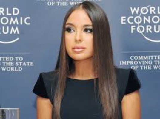Leyla Əliyeva: Artıq fəaliyyət göstərməyin vaxtı gəlib çatıb