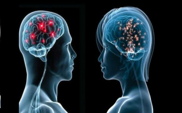 Alimlər sübut etdilər: