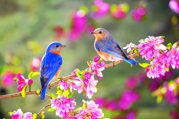 Sabah 15-20 dərəcə isti olacaq