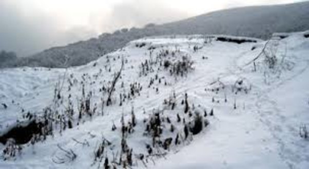 Gədəbəyə qar yağıb