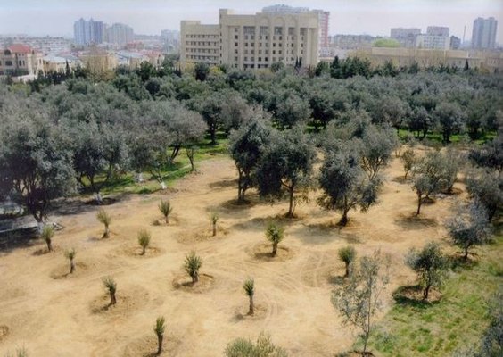 Zərifə Əliyeva adına park kompleksi yenidən qurulur