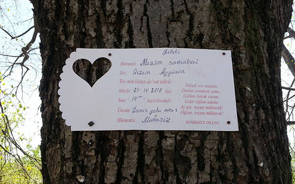 Ermənistanla sərhəd olan kənddən