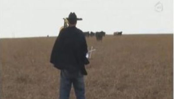 O, şeypurla inəklərə konsert verdi