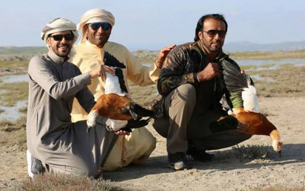 18 milyard dollar sərvəti olan Dubay şahzadəsi Qəbələdə