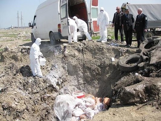 Bakıda satışa çıxarılan 700 kq at əti zərərsizləşdirildi