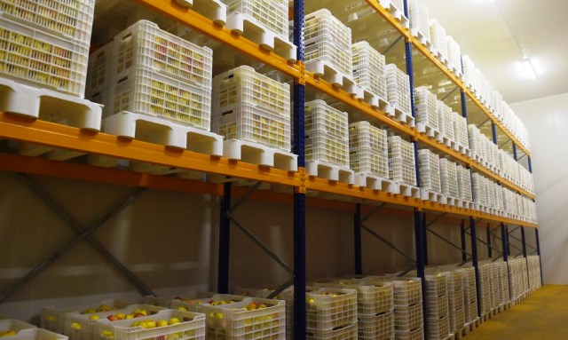 `Anbarlarda 3 min ton alma qalıb`