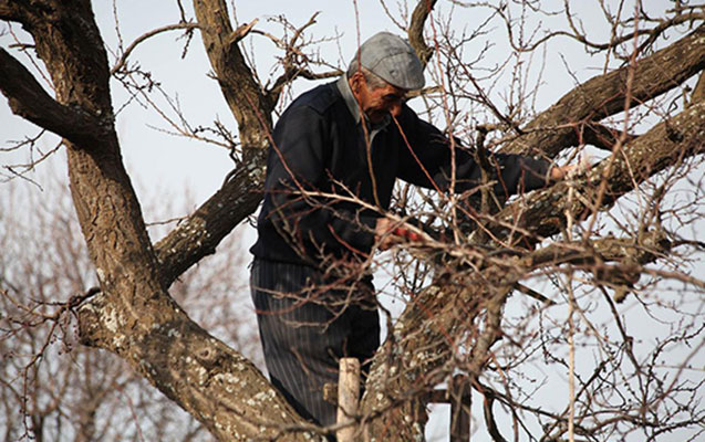 Nazirlikdən polisə şikayə