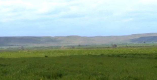 “Lələ təpə”dən son görüntülər