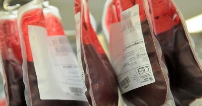 Cəbhəyə qan lazımdır?