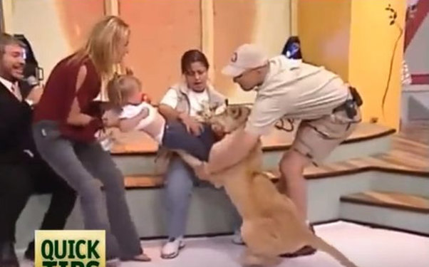 Canlı yayımda şir uşağa hücum etdi