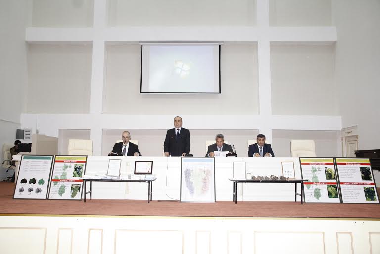 Cəlilabadda üzümçülüyün elmi əsaslarla inkişafının əsas istiqamətləri müzakirə edilib