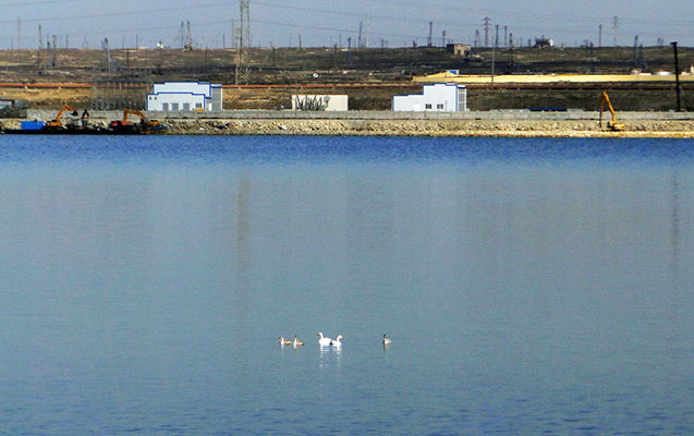 Dünya Bankı Abşeron göllərinin təmizlənməsinə kömək edəcək