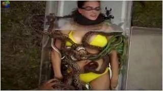 Realiti-şouda həşəratlar qadına hücum etdi