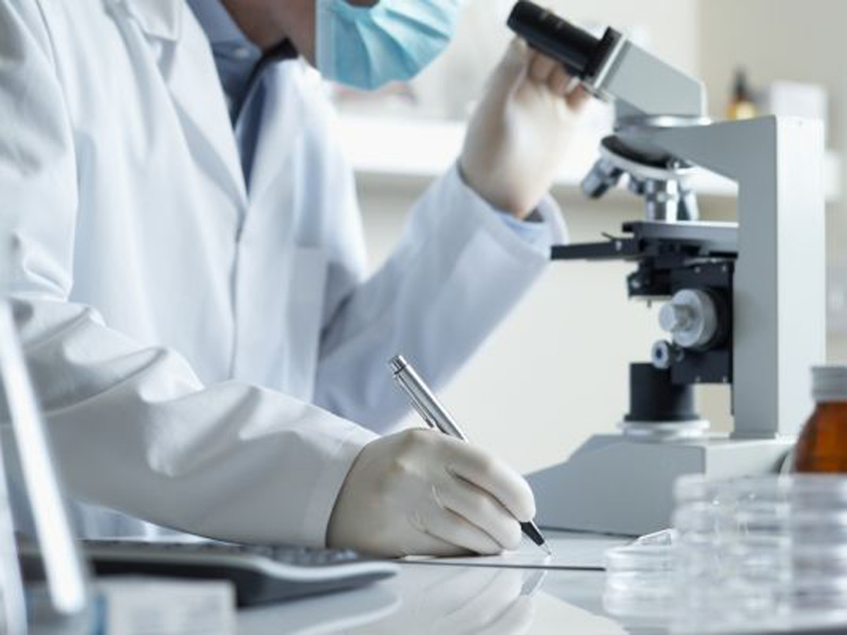 Yaponiya təhqiqatçıları mini-qaraciyər yaratdı