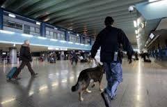 Təyyarədə Bakıya narkotik gətirmək cəhdi