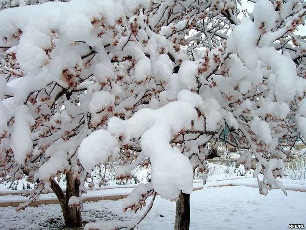 Azərbaycana 22 sm qar yağıb