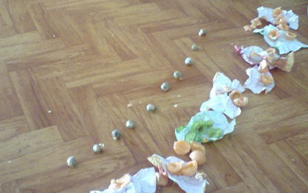 Birinə babası, digərinə dayısı narkotik gətirdi