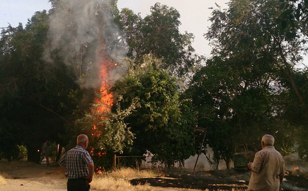 Oğuzda meşə yanır