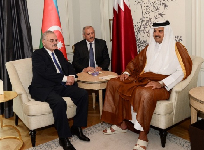 Artur Rasizadə Qətər əmiri ilə görüşüb