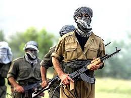 5 PKK terrorçusu zərərsizləşdirilib
