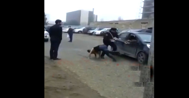 Bakıda yol polisi qadın sürücünü belə döydü