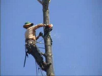 Montyoru “tok” vurdu, öldü