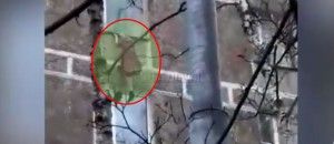 Yaşlı qadın eyvandan belə yıxıldı VİDEO