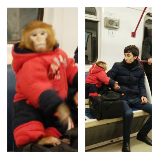 MEYMUN BAKI METROSUNU BİR-BİRİNƏ QATDI