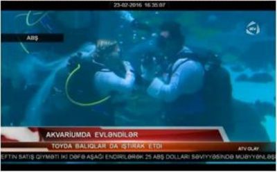 Akvariumda evləndilər