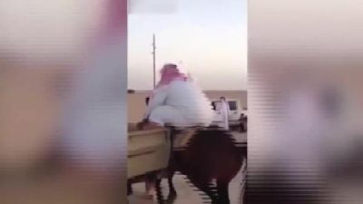 O qədər kökdür ki, atın beli qırılacaqdı...