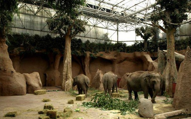 Bakıda böyük zoopark yaradılır