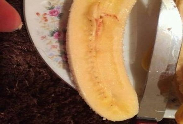 Bananlardakı qan ləkələri bakterial xəstəlik imiş - RƏSMİ