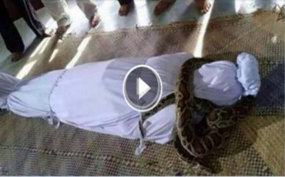 Bu videonu ölmədən izləyin!