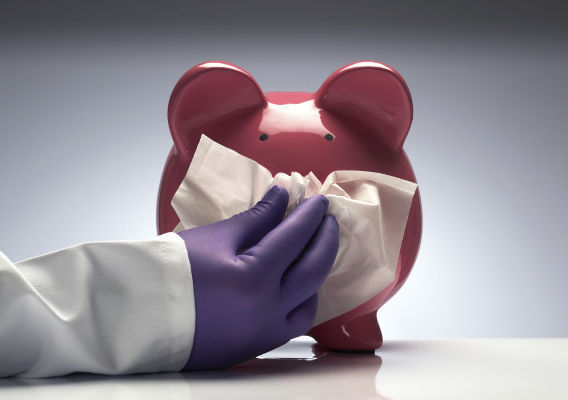 Ermənistanda “donuz qripi” tüğyan edir