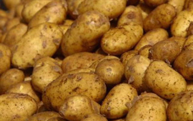 Gömrük Komitəsindən kartofla bağlı