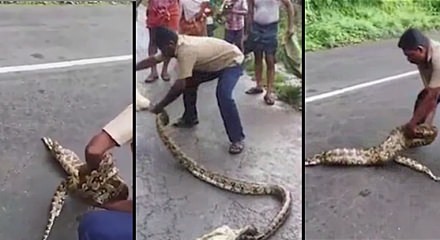 İlanın udduğu keçini əli ilə çıxardı