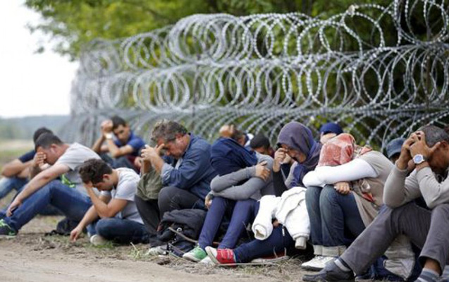 Avstriya “Şengen”i dayandırır