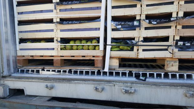 Gömrük ödənişlərindən yayınmaq istəyənlər saxlanıldı