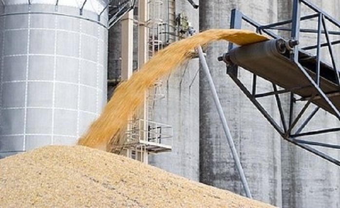 Azərbaycan özünü taxılla tam təmin edəcək