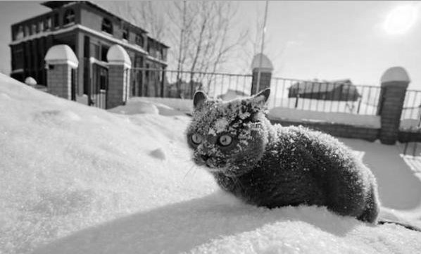 Sabahın hava proqnozu