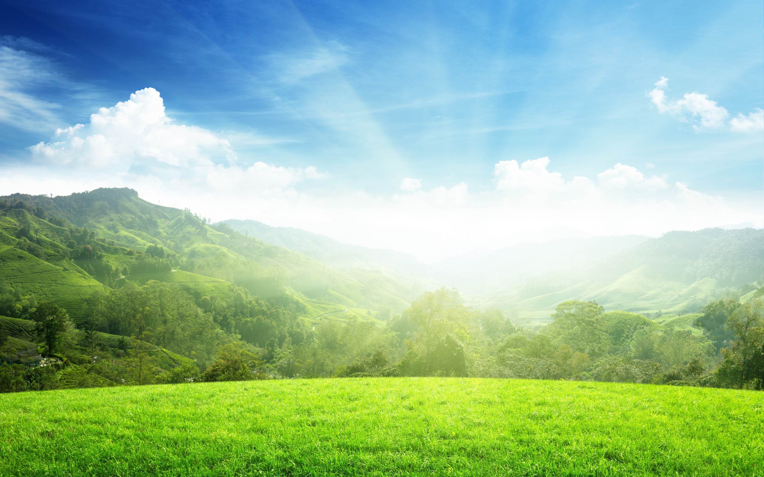 Azərbaycanda yanvar ayının ən isti və ən soyuq keçdiyi illər