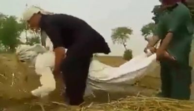 Bu video sosial şəbəkələri bir-birinə qatıb