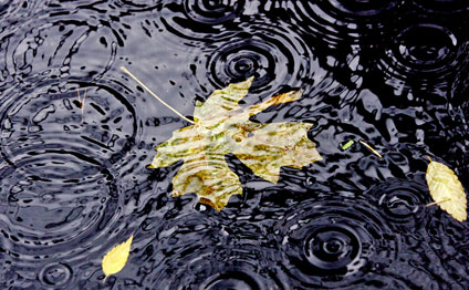 Sabah Bakıda yağış yağacaq